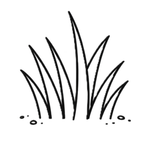 Lawn Type & Growth Style