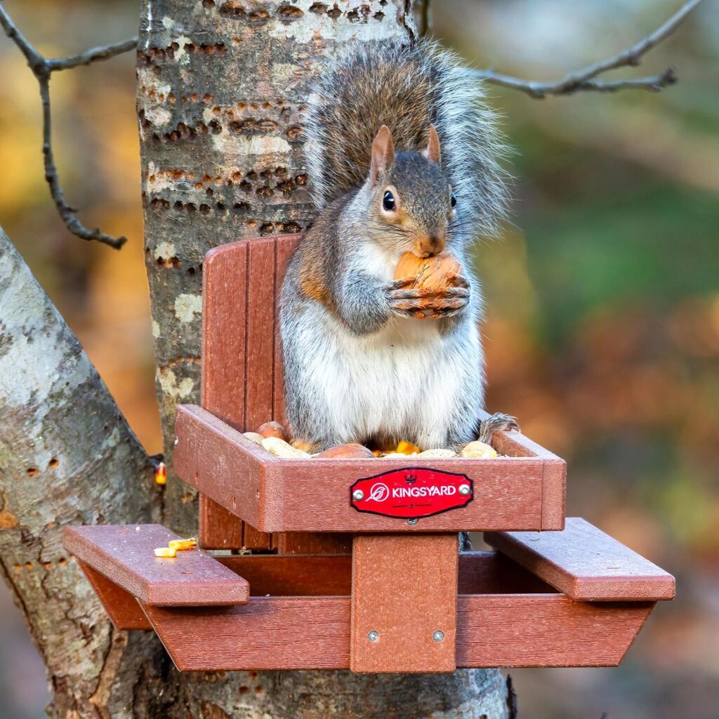 Kingsyard Squirrel Feeder Table
