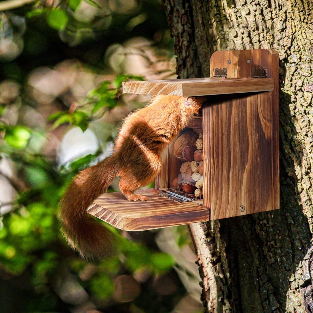 MIXXIDEA Wooden Squirrel Feeder